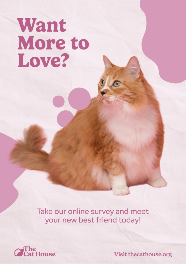 The Cat House Posters-01