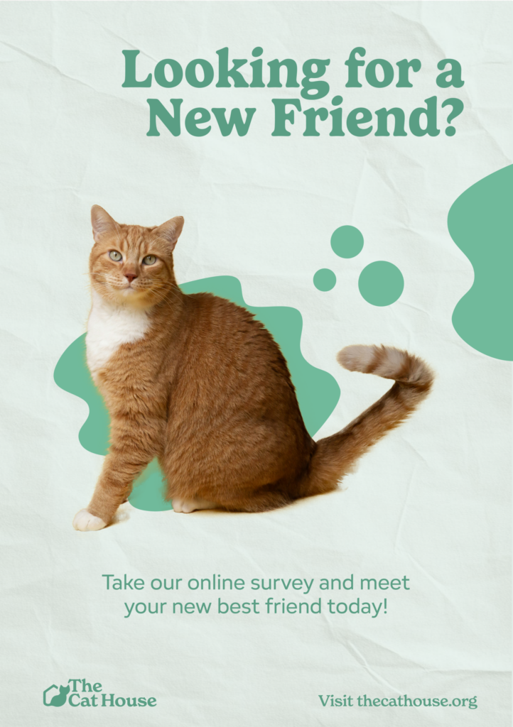 The Cat House Posters-03